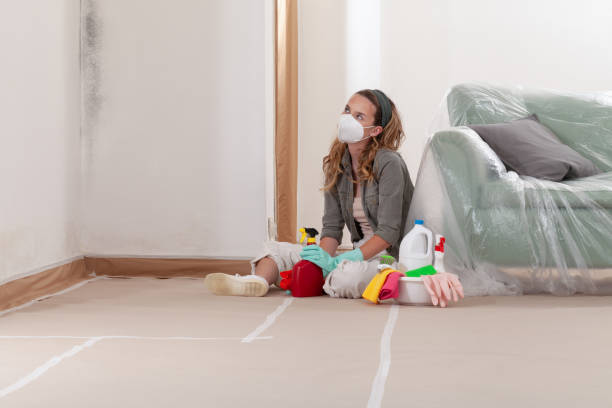 Reliable Black Mold Remediation contractor in Arlington Heights, IL by Car Mold Remediation